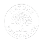 everlee-logo-foundation-white